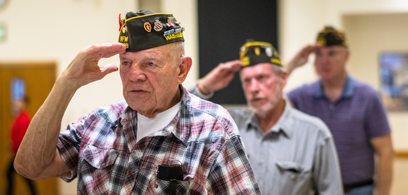 older veterans saluting